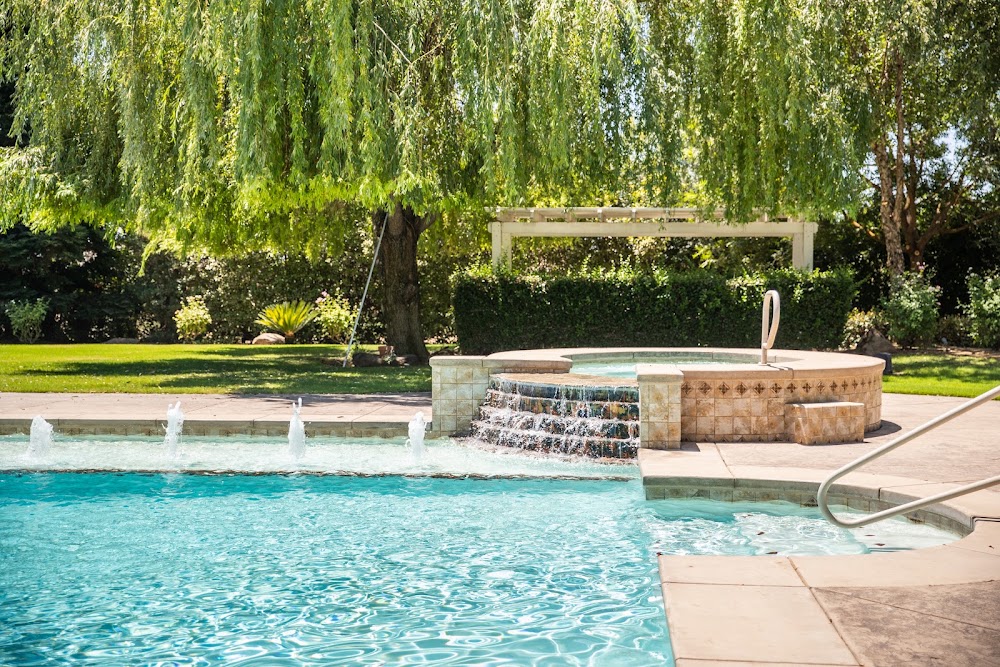 Modern freeform pool with a sheer-descent water feature